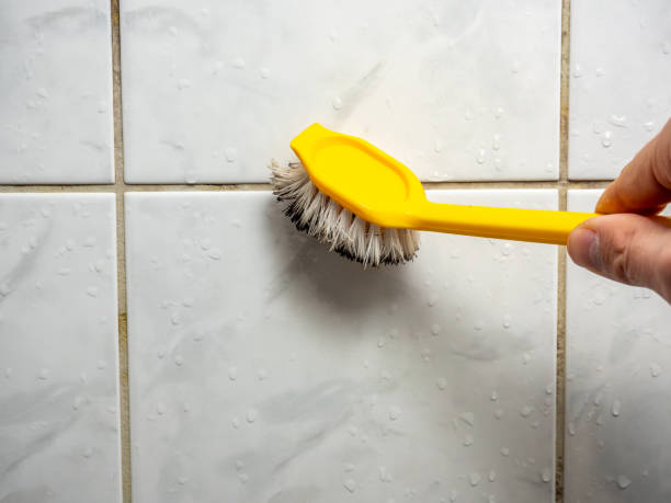 Certified Mold Removal in Rochester, MN
