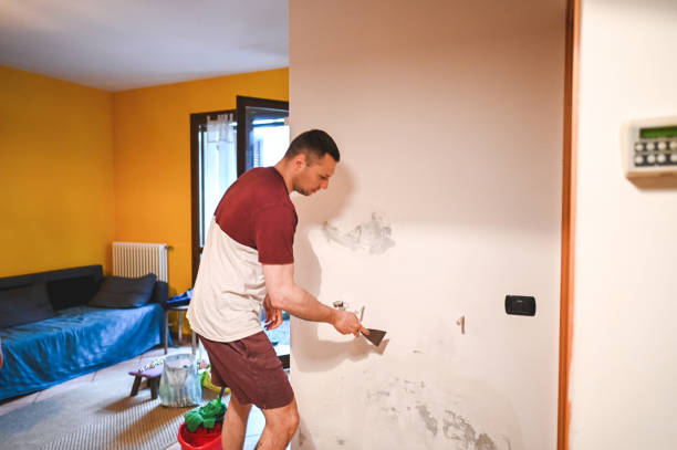 Mold Removal and Inspection in Rochester, MN